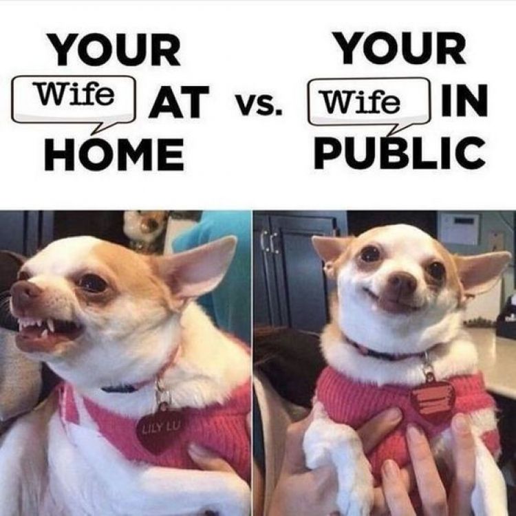 Funny Wife Memes